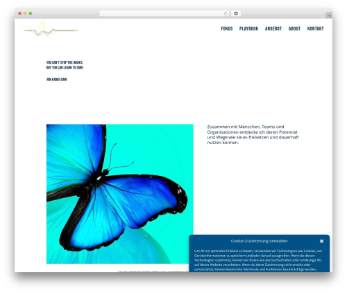Divi WordPress theme - sibyllereiter.com