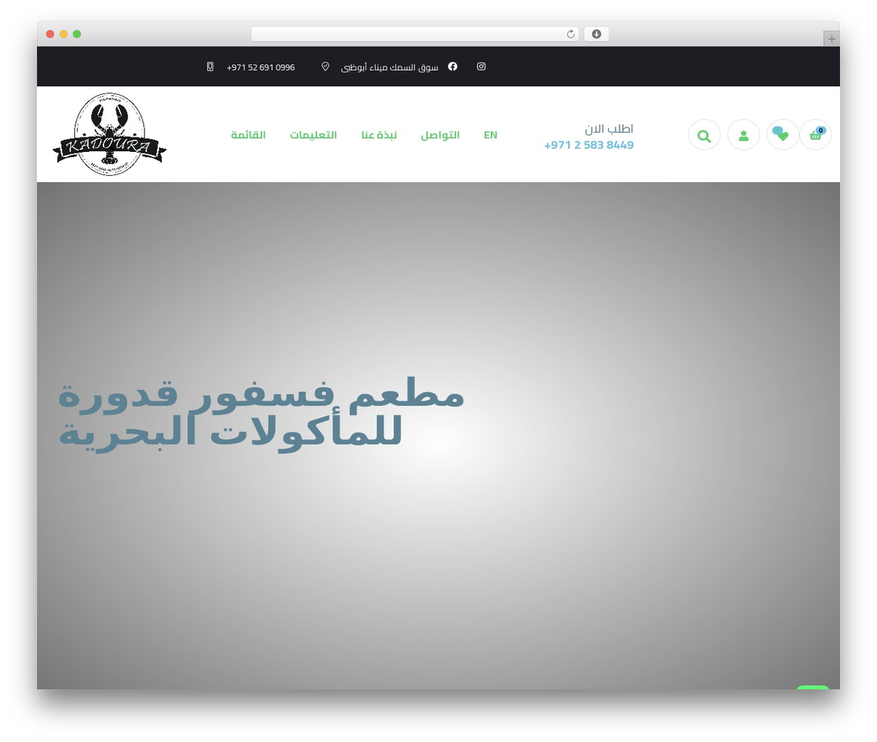 Poco WordPress theme - pkr.ae