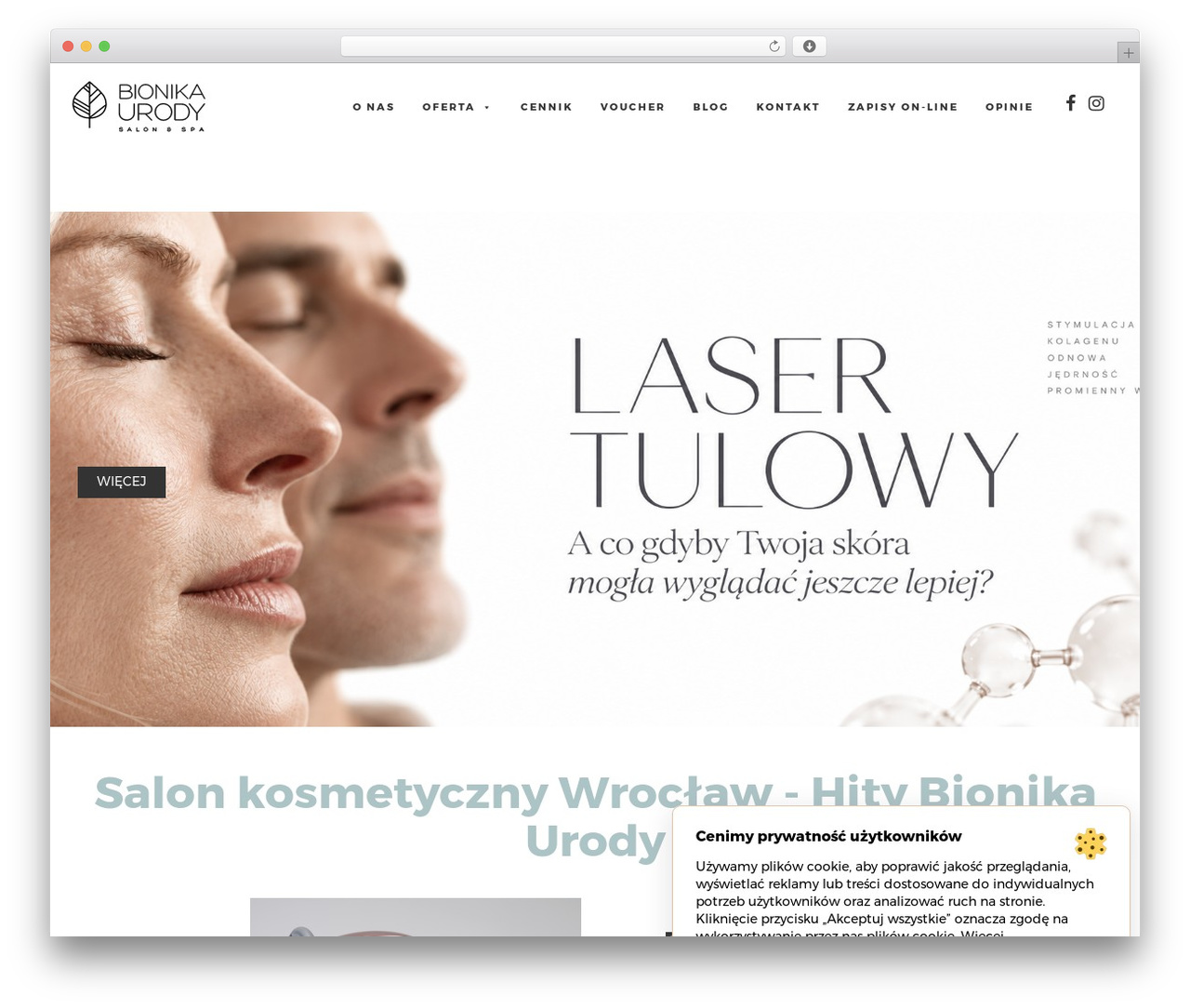 Theme WordPress Proformat - bionikaurody.pl Theme WordPress Proformat - bionikaurody.pl