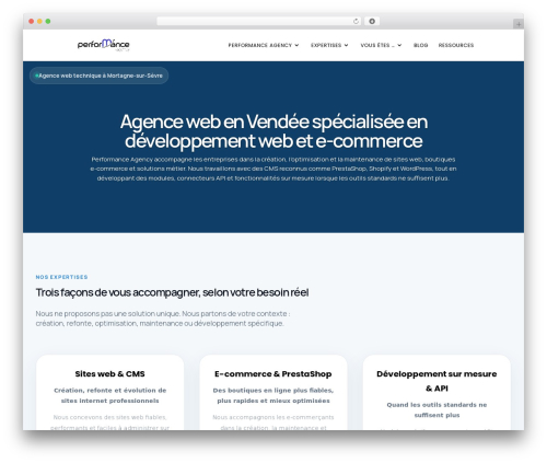 WordPress theme Divi - performance-agency.net