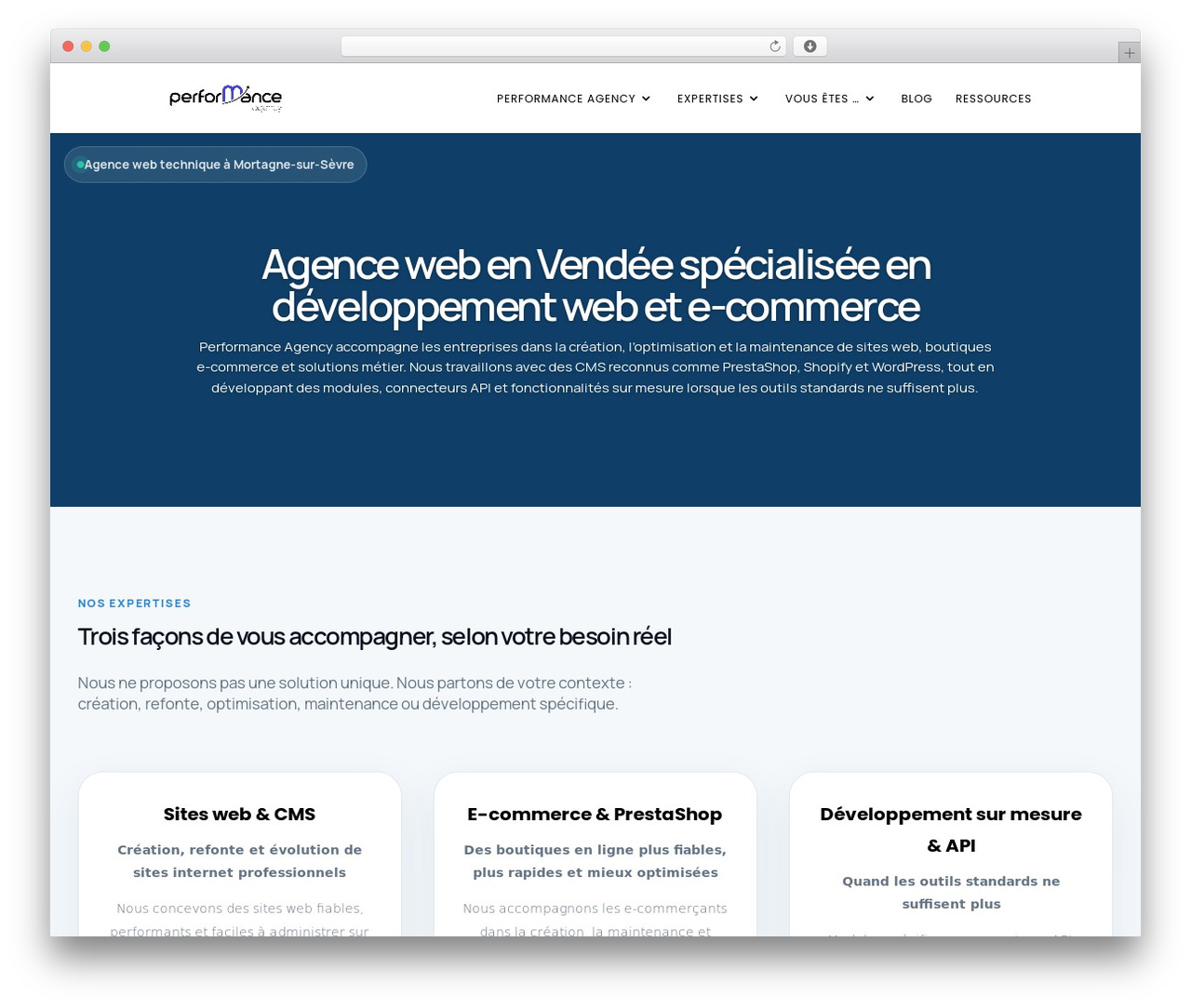 WordPress theme Divi - performance-agency.net