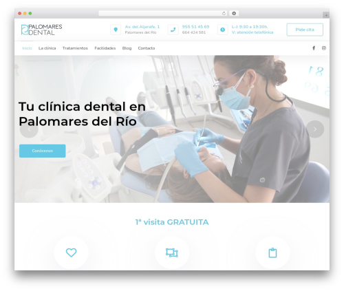Anps_theme_plugin WordPress plugin - palomaresdental.com