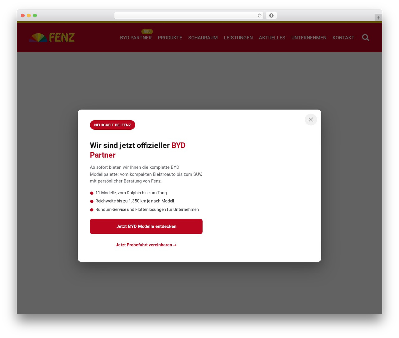 Theme WordPress Fenz - jochenfenz.at