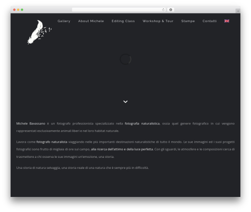Multi rating pro WordPress plugin - michelebavassano.com