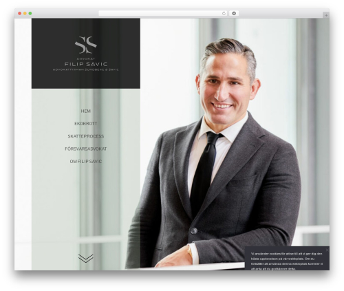 WordPress website theme Starter Theme - skattejuristen.se