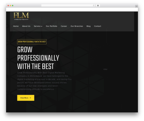 Saor WordPress theme - flyinglionmedia.net