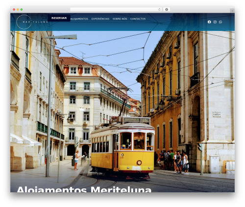 WordPress website theme Hello Elementor - meriteluna.com