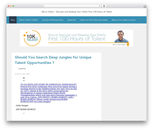 Aeroblog WordPress blog theme - 10ktotalent.com