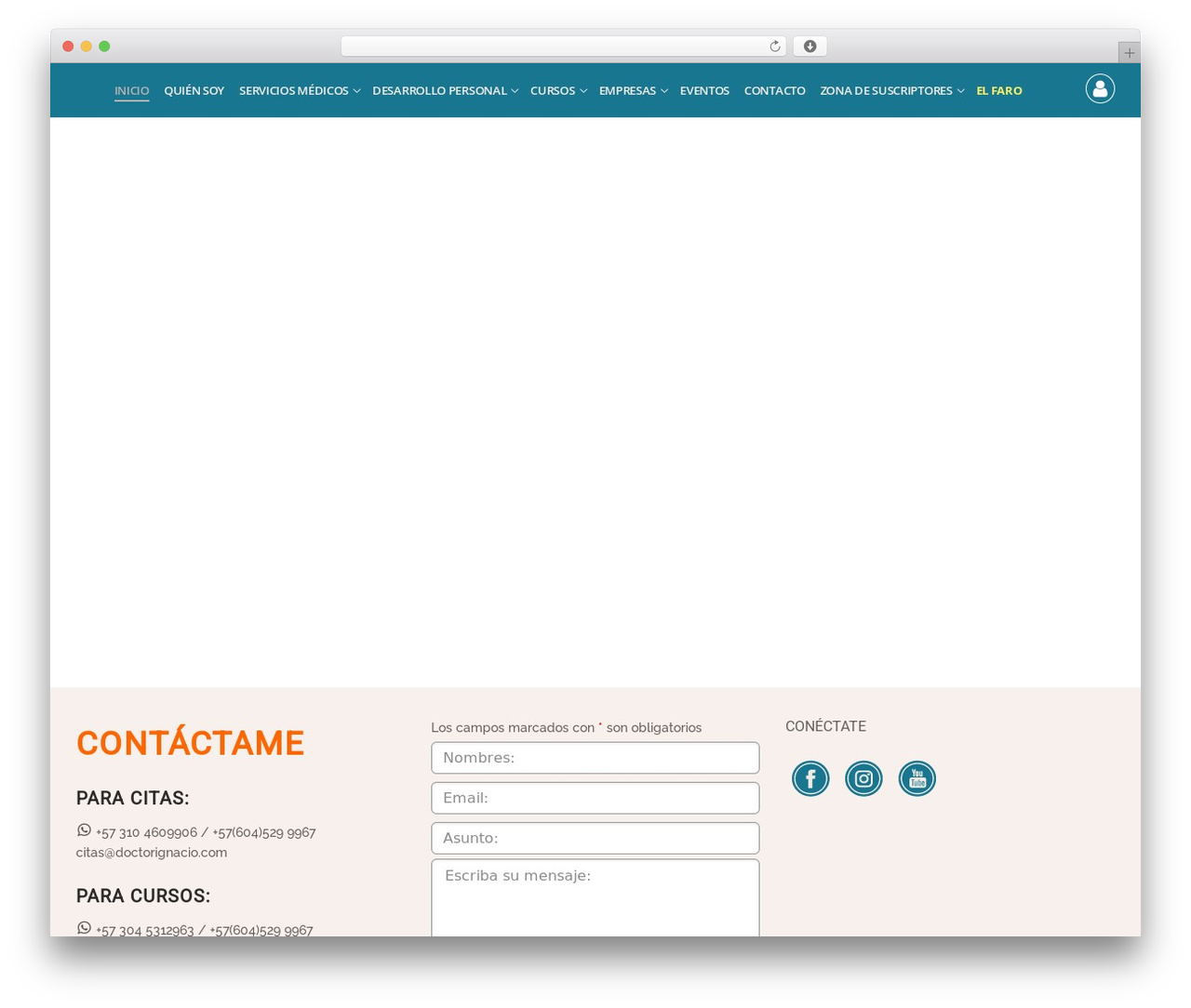 Customify WordPress theme - doctorignacio.com