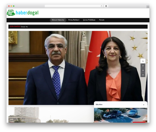 dtheme WP theme - haberdogal.com