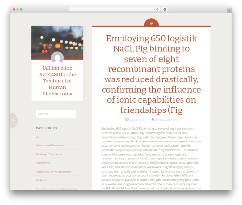 Fictive theme WordPress - azd1480.info