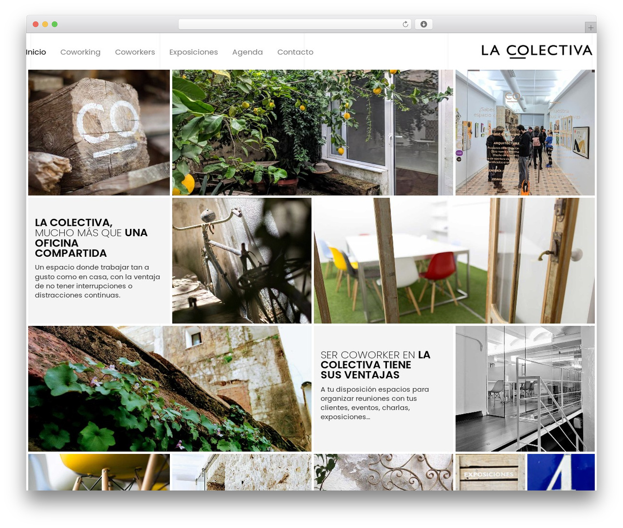 Hello Elementor WordPress theme - lacolectiva.co Hello Elementor WordPress theme - lacolectiva.co