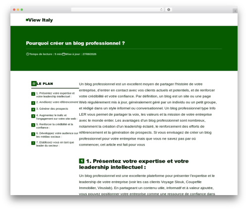 Maxwell WordPress theme - viewtalay.net