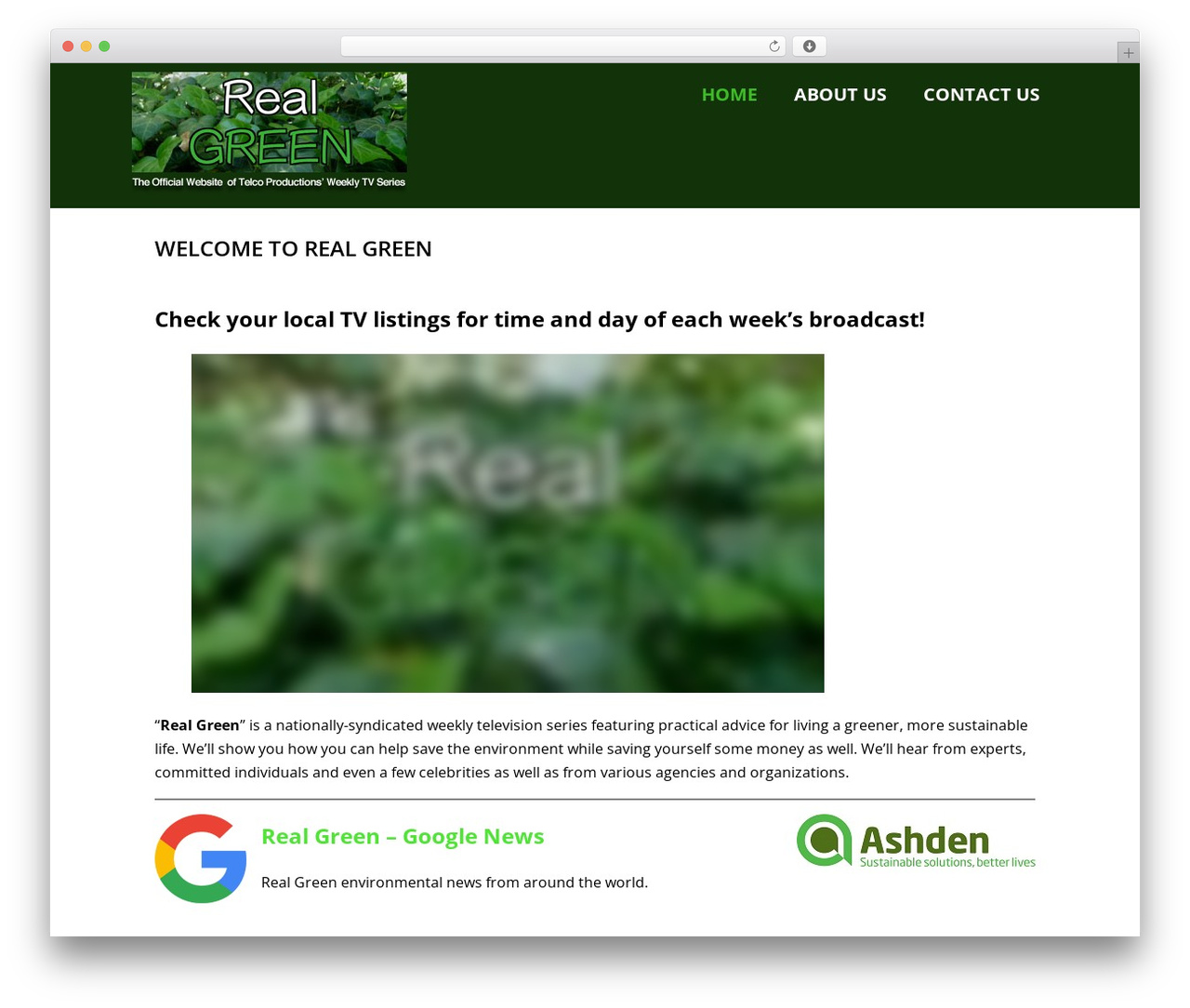 Optimizer PRO WordPress page theme - realgreentv.net