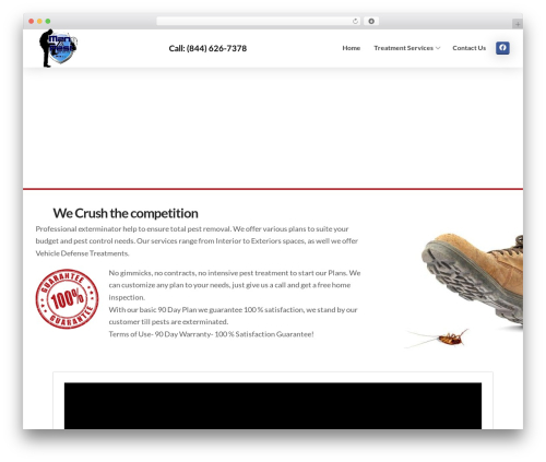Essential addons cs WordPress plugin - manvspestpd.com