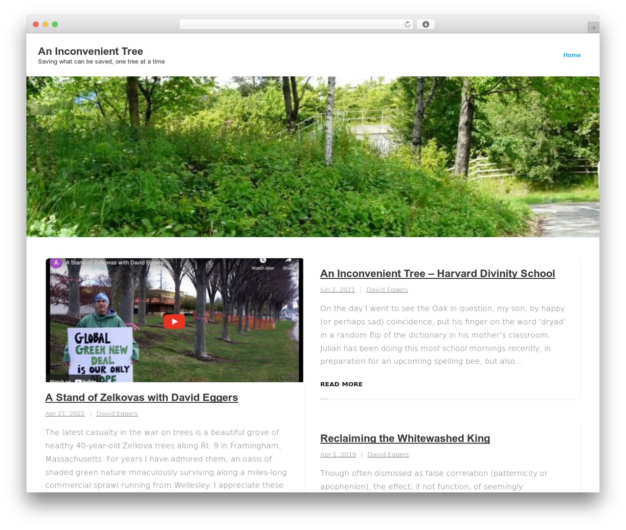 WordPress theme Shuttle - aninconvenienttree.org WordPress theme Shuttle - aninconvenienttree.org
