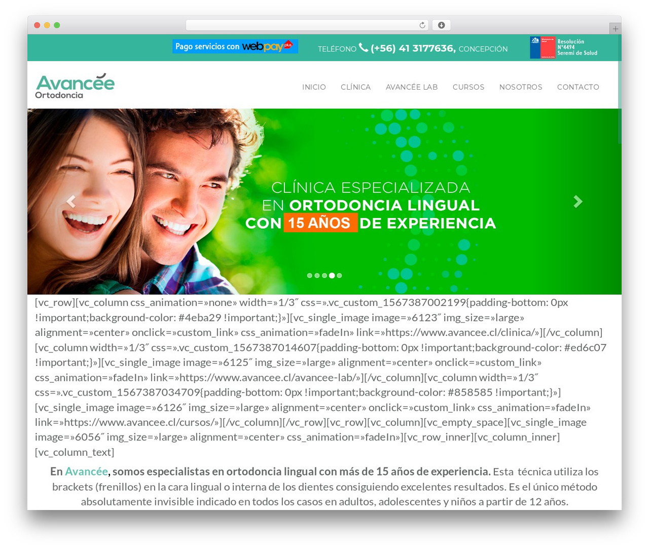Avancee theme responsive WordPress theme - avancee.cl