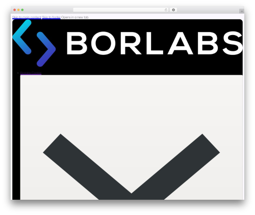 Bricks WordPress theme - borlabs.io