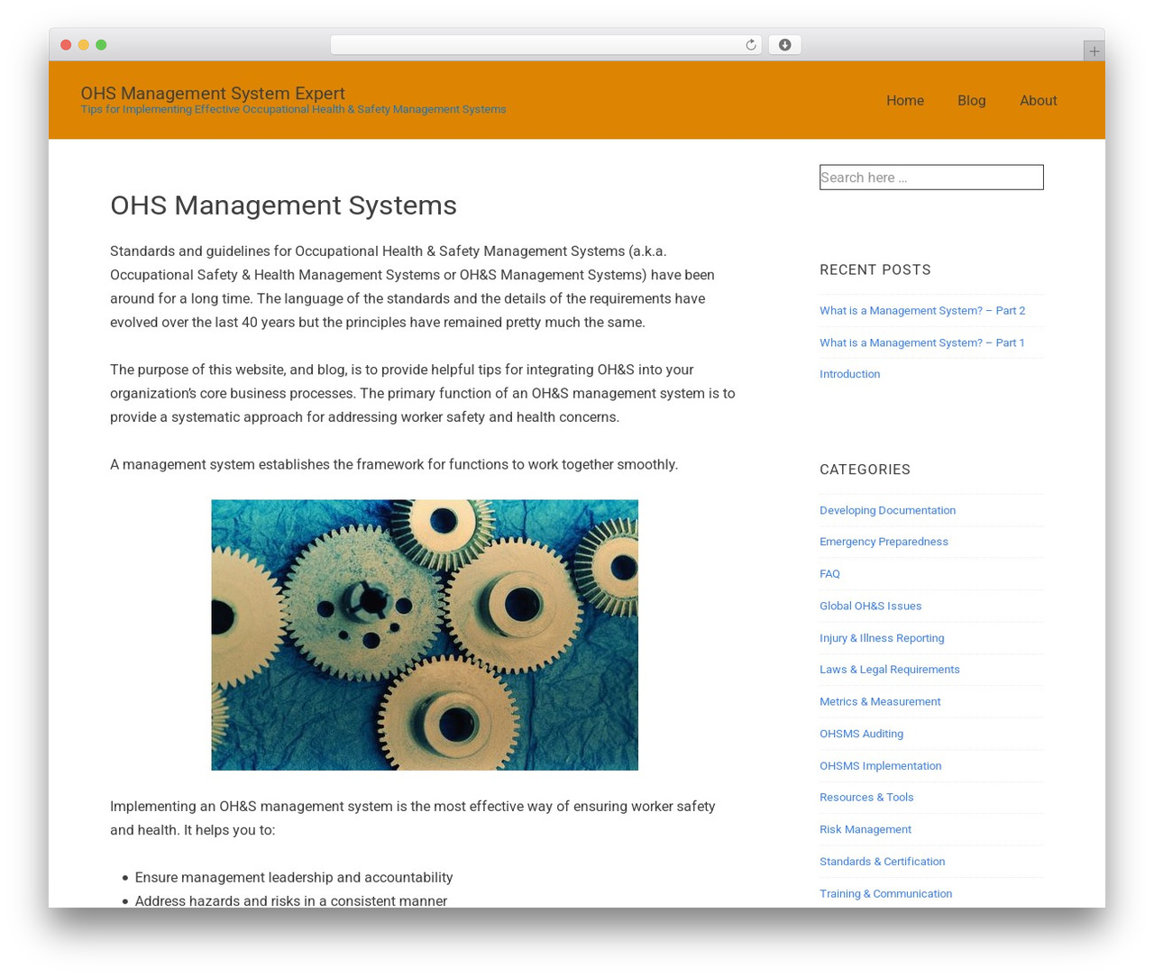 Responsive WordPress theme - ohsmsexpert.com