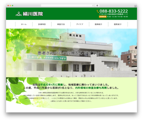 Themify Basic WP theme - kinugawaiin.com