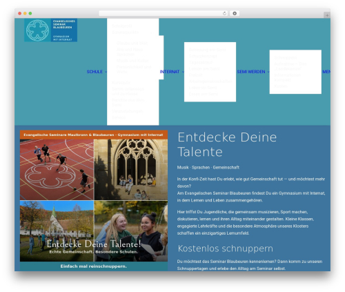 Uncode daves wordpress live search WordPress plugin - seminar-blaubeuren.de