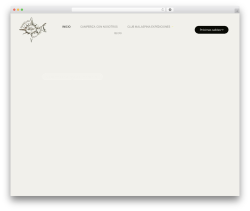 Ai share summarize WordPress plugin - rutascamper.es