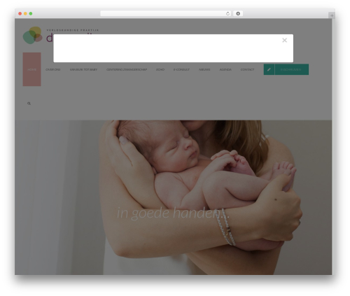 WordPress theme youecho - deronding.nl