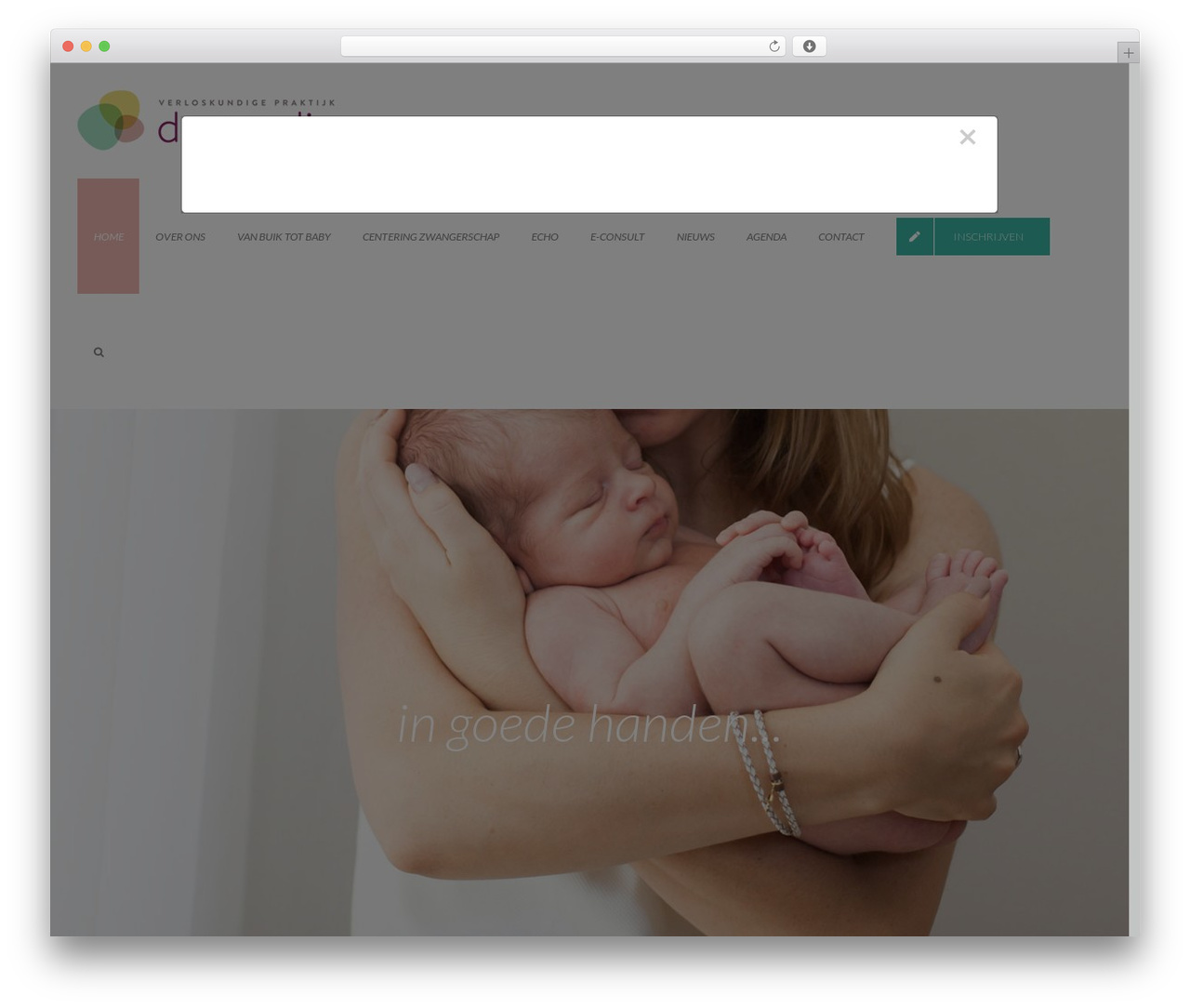 WordPress theme youecho - deronding.nl