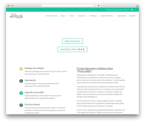 Divi WordPress theme - pszczolki.org