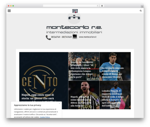 Herald WordPress theme - gonfialarete.com