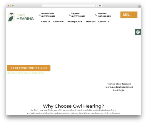 Parent Theme theme WordPress - owlhearing.com