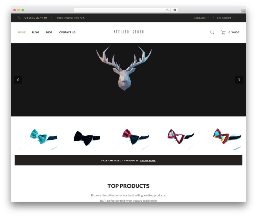 Tp add on automatic language detection WordPress plugin - ateliercerbu.com
