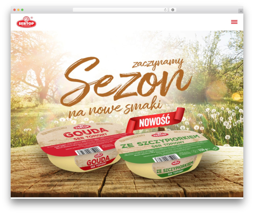 WordPress theme Leonardo - sertop.pl