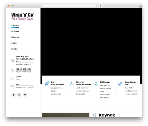 Ctcore WordPress plugin - wrap-n-go.net