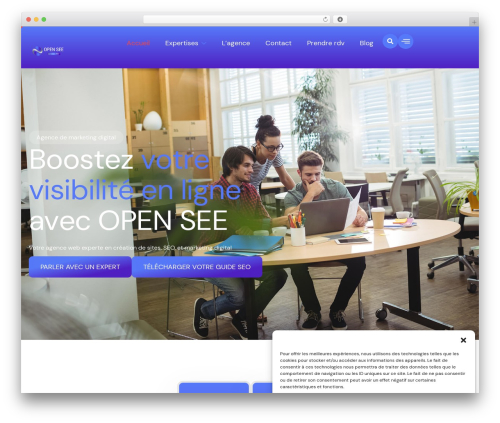 WordPress theme Seore - open-see.fr