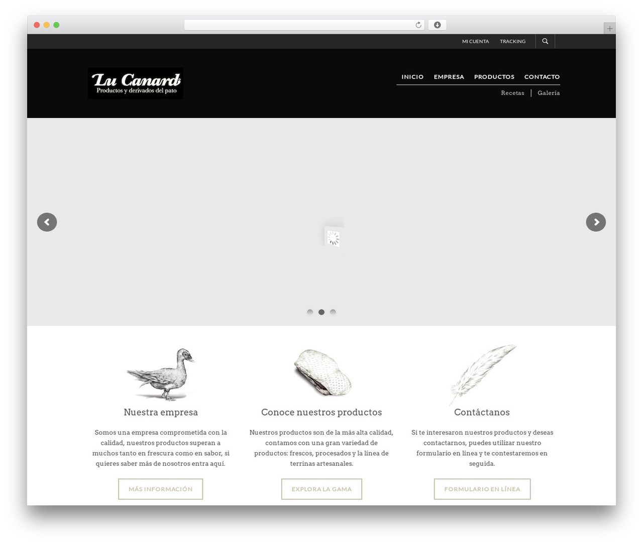 WordPress theme The Retailer - foiegras.com.mx