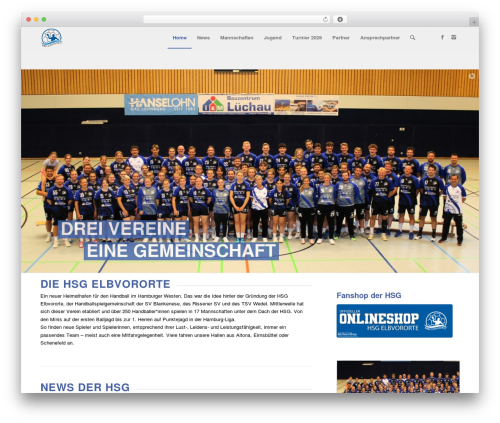 Thinkup panels WordPress plugin - hsgelbvororte.de