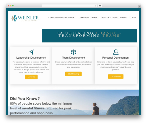 Mega theme WordPress - weixlerconsulting.com