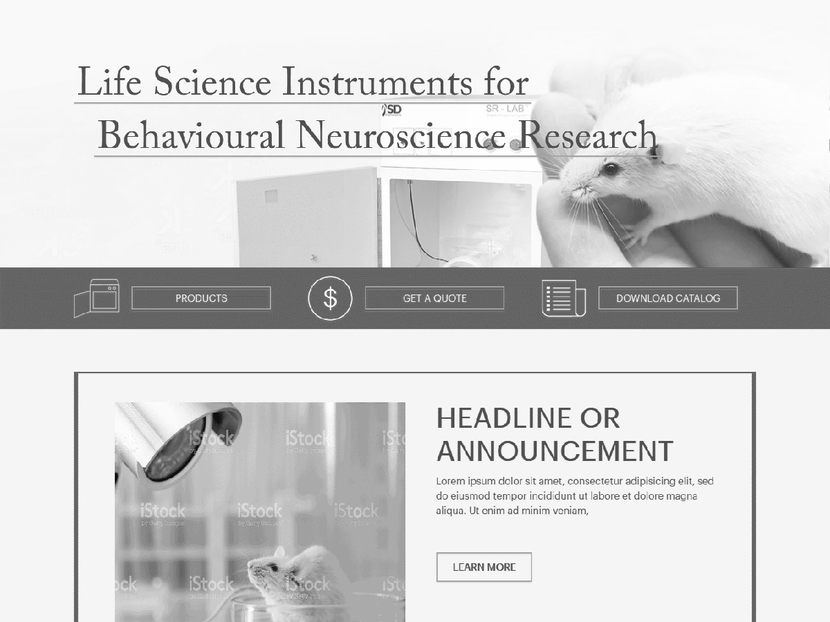 SDInstruments WP theme