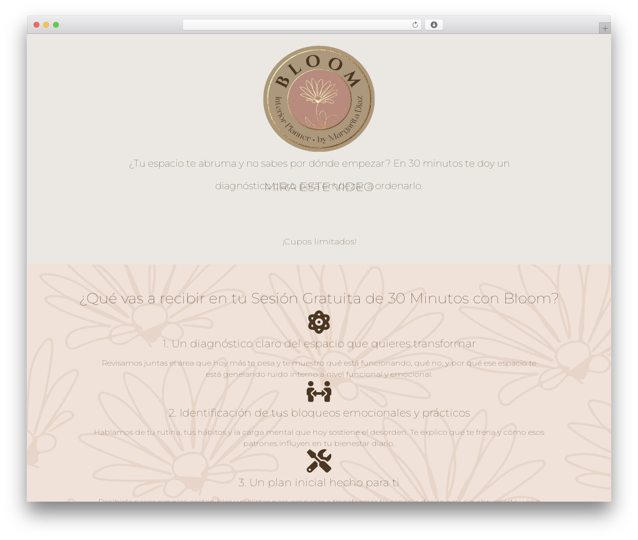 Theme WordPress Hello Elementor - bloombymd.com