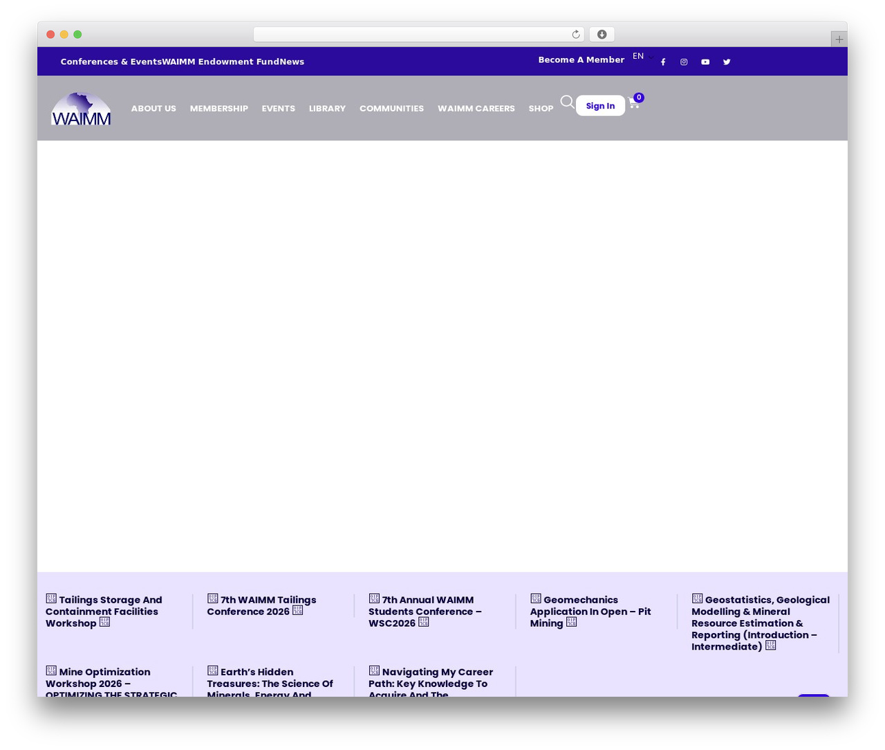 Theme WordPress Hello Elementor - waimm.org