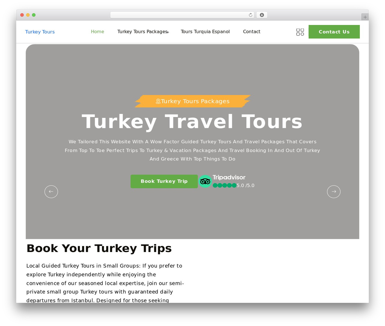 TripRex WordPress theme - turkeytraveltours.com TripRex WordPress theme - turkeytraveltours.com