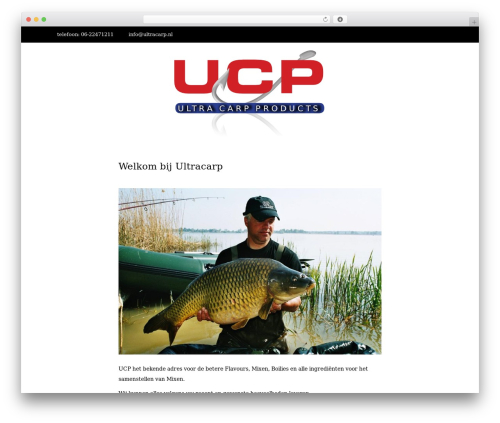 WordPress website theme Writee - ultracarp.nl