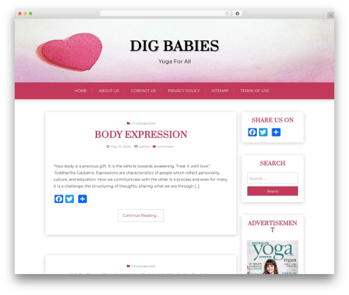 X Blog WordPress theme - digbabies.com
