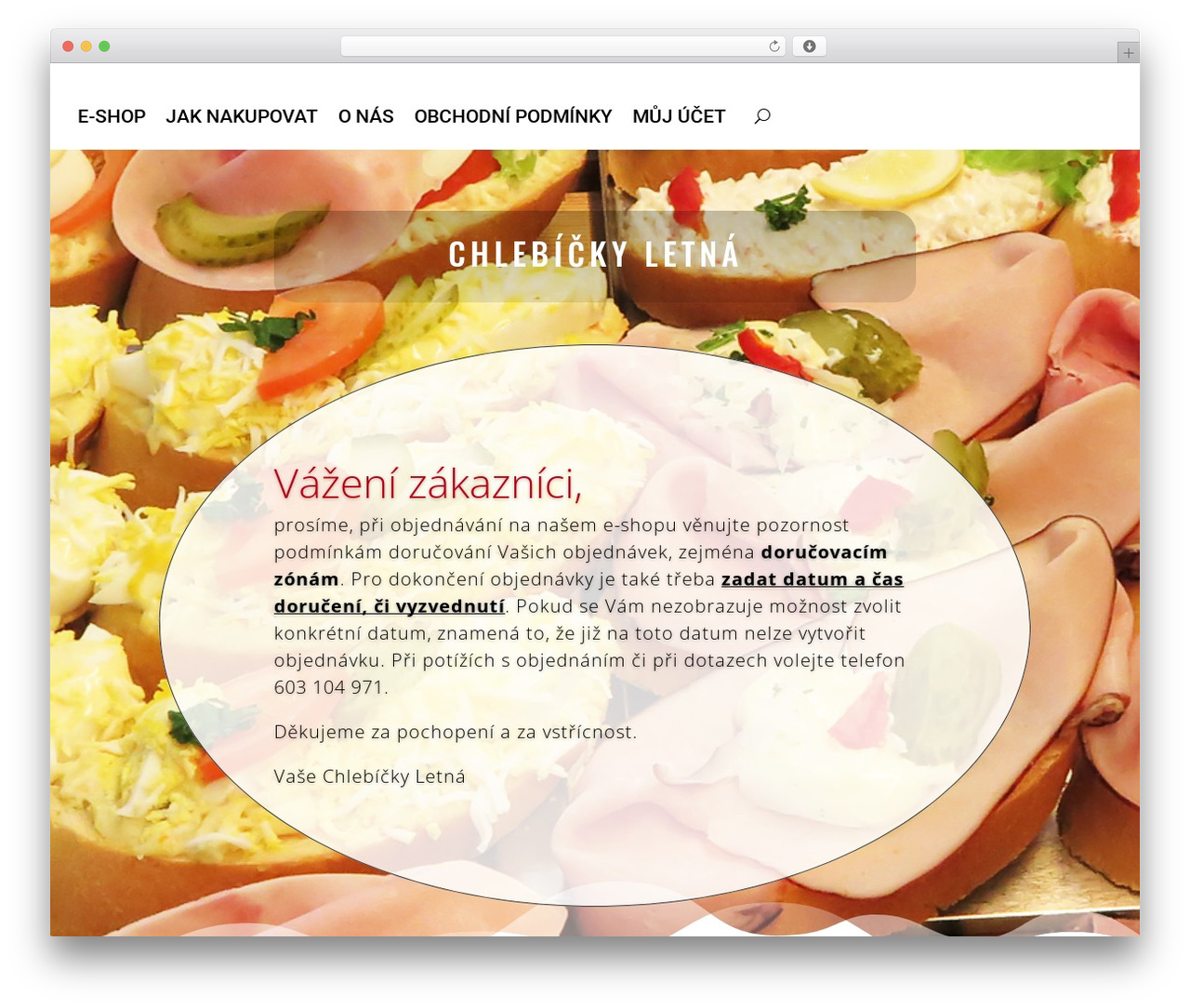 Divi WordPress theme - chlebickyletna.cz