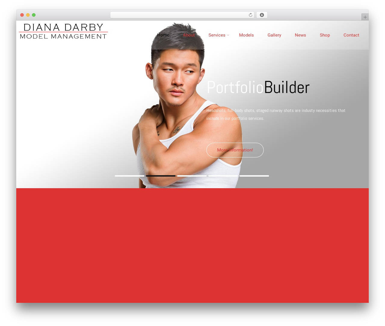 Modelling WordPress theme - dianadarbymm.com