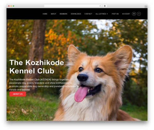 Addonskit for elementor WordPress plugin - kozken.org
