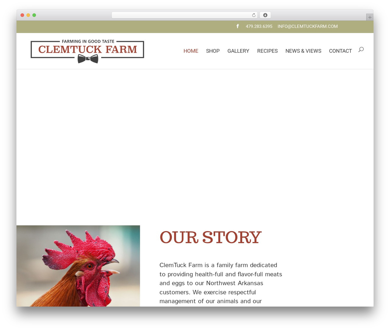 WordPress theme Divi - clemtuck.com