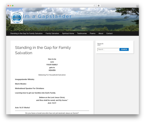 Frindle WordPress theme - imagapstander.org