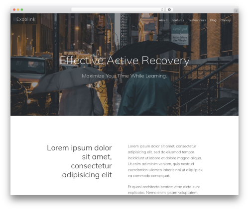 Genesis WordPress theme - exoblink.com